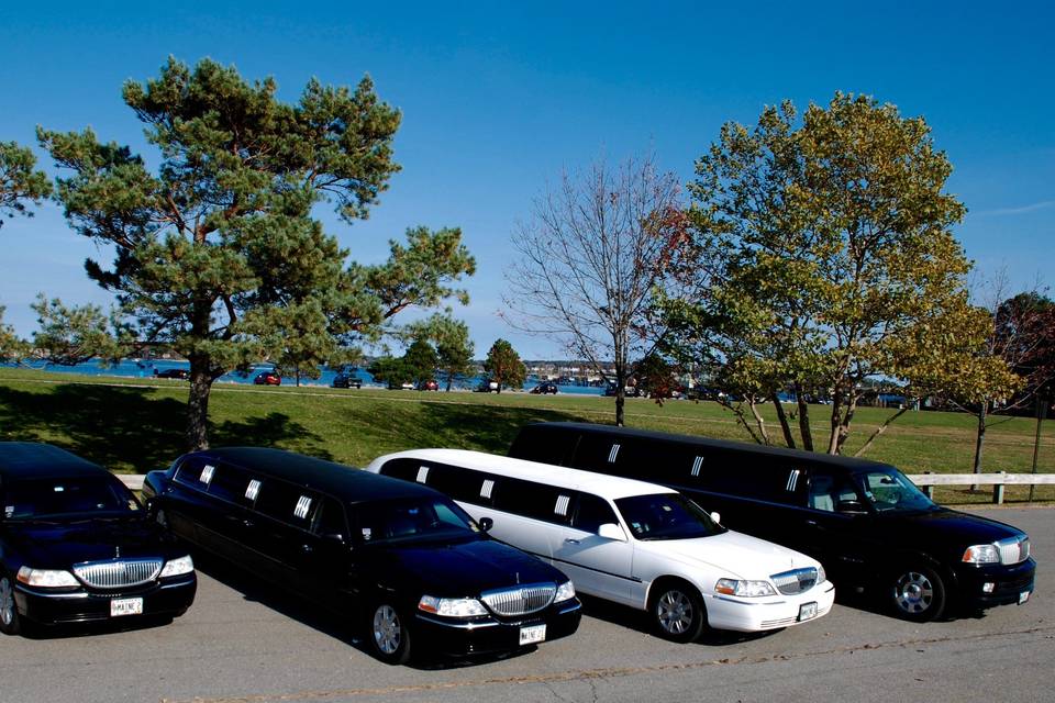 Pearson Airport Limo