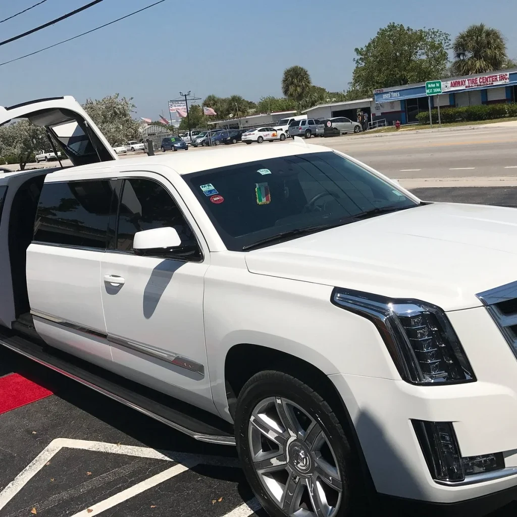 FIFA World Cup Limo Service